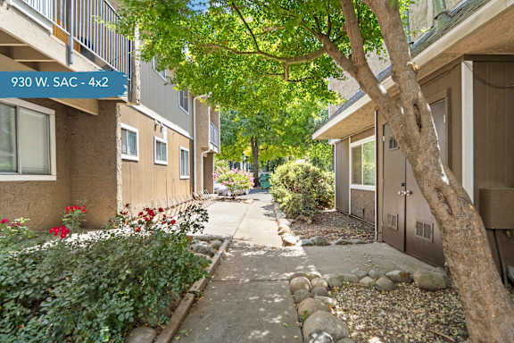 A tree in front of a building with a sign that says 930 W. SAC - 4x2.
