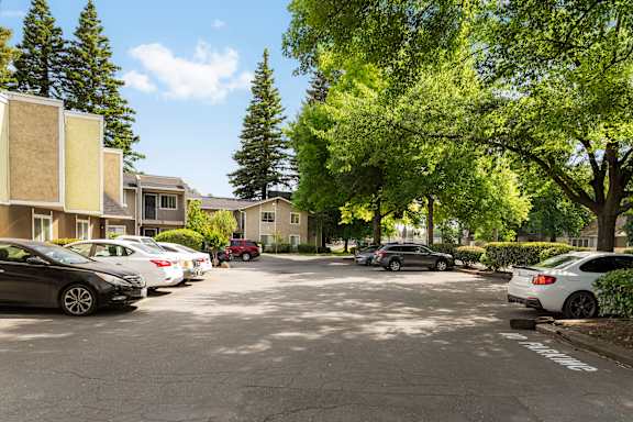 Parking lot with mature trees and residential buildings at OSM Properties Homes & Apartments, California