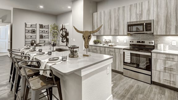 A modern kitchen with a large island and a cow skull as a decoration at Arise Riverside Apartments, Austin, TX, 78741