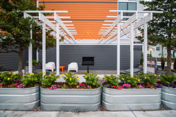 BBQ Patio