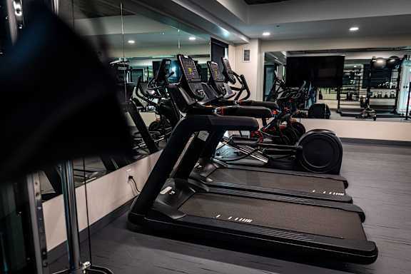 a row of cardio machines in a gym