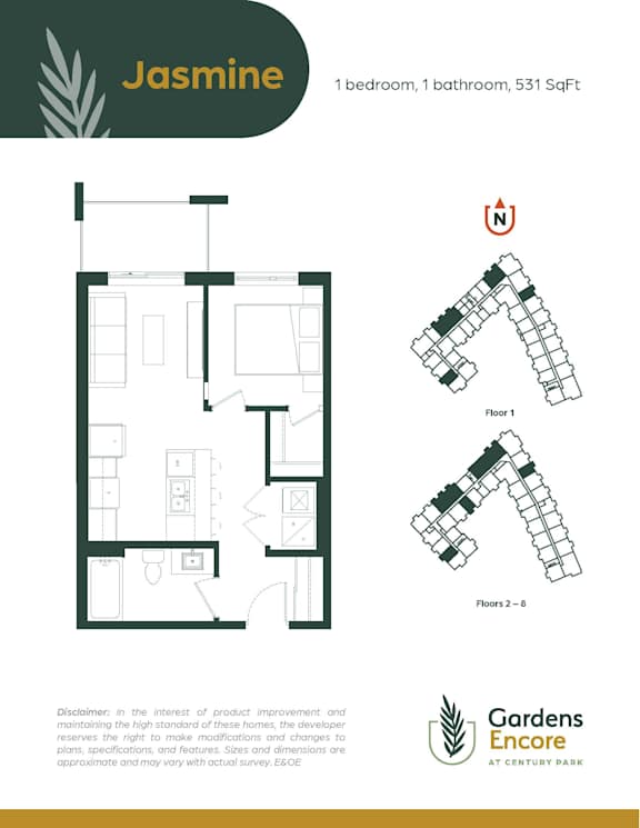 A floor plan for a property called Jasmine, which is 531 square feet, is displayed.