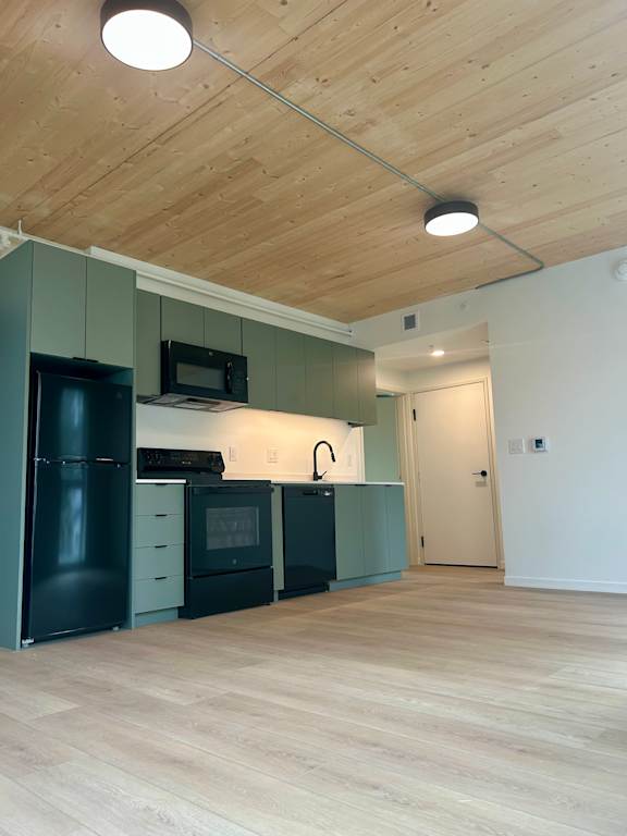 A kitchen with black appliances and green cabinets.