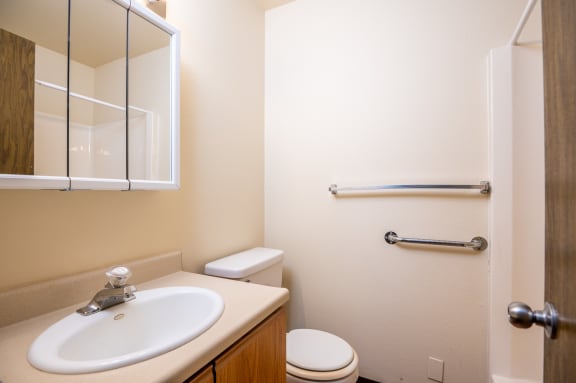 a bathroom with a sink and toilet and a mirror
