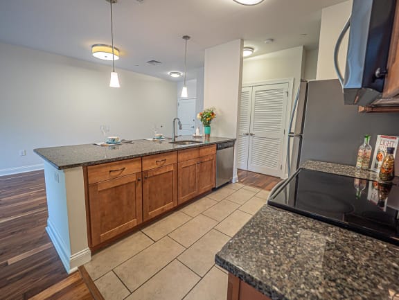 Granite Countertop Kitchen at Palmer View, Palmer Township