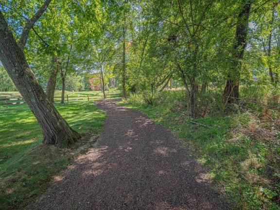 Nature Trail at Heritage Court, Ewing, New Jersey