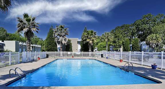 A swimming pool surrounded by a white fence and palm trees.