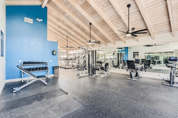 Fitness Center with Free Weights at Azul Apartments in California, 92545