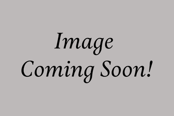 A placeholder image with the text "Image Coming Soon!"