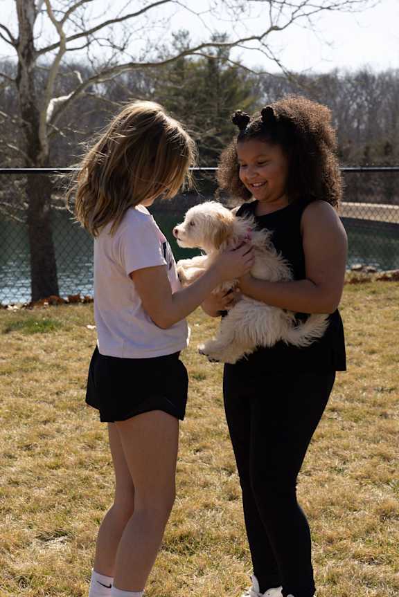 two women holding a dog in a field at The Residences at Tesson Ridge, Saint Louis, MO, 63128