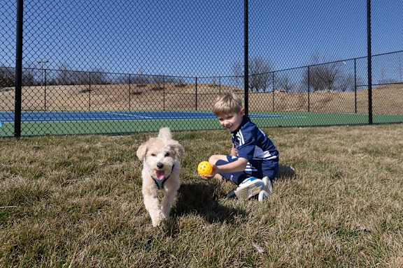 a young boy playing with a dog and a ball at The Residences at Tesson Ridge, Saint Louis, 63128