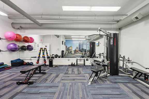 A gym with a variety of equipment including a bench, and a weight rack.