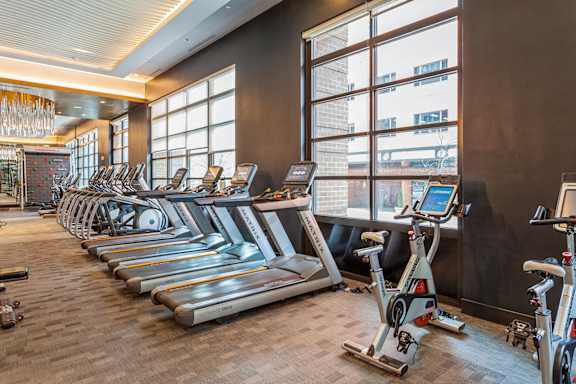 a cardio room with treadmills and weights in a gym