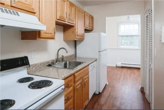 a kitchen with a stove and a sink and a refrigerator