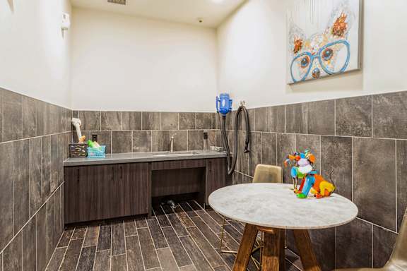 dog washing station