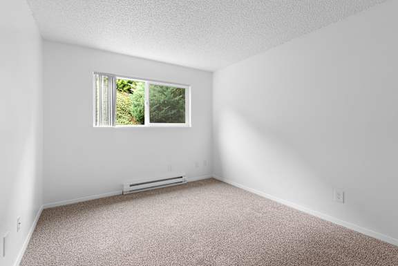 A room with a window and a carpeted floor.