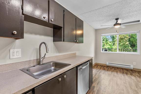 A kitchen with a sink and a window.