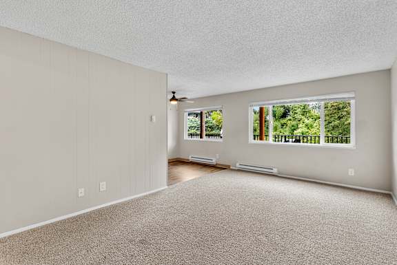 A room with a carpeted floor and a window with a view of trees.