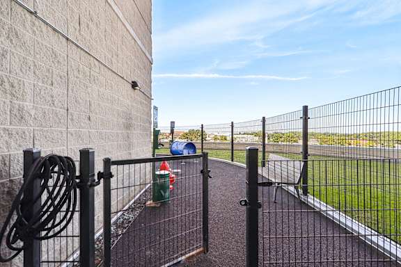 Pet play area