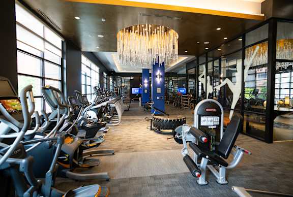 A gym with a variety of exercise equipment including treadmills, stationary bikes, and weight machines.