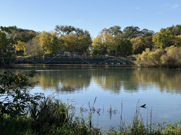 View of the scenic Lake Harriet