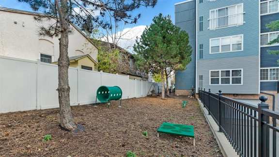 A backyard with a tree, a bench, and a fence.