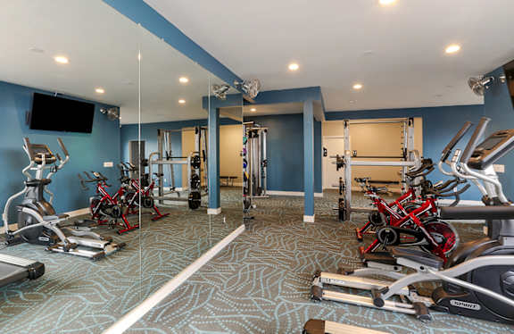 Fitness center with free weights and exercise equipment