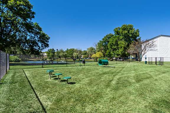 A sunny day at the park with green grass and picnic tables.