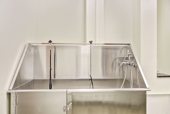 a large stainless steel laboratory sink in a white room