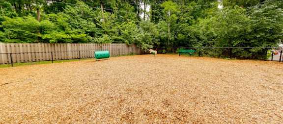 A backyard with a fence and a green object in the middle.