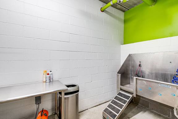 Pet Bath at Zest, Minneapolis, Minnesota