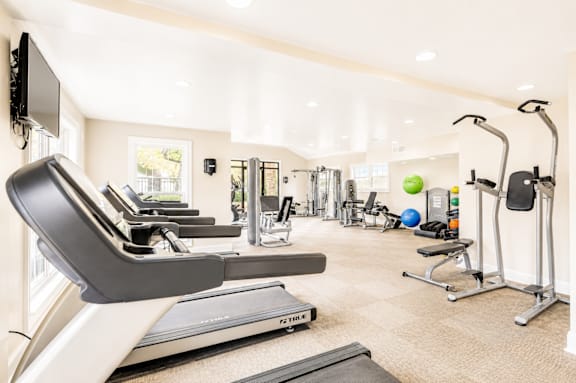 A well-equipped gym with treadmills, exercise balls, and weight machines.