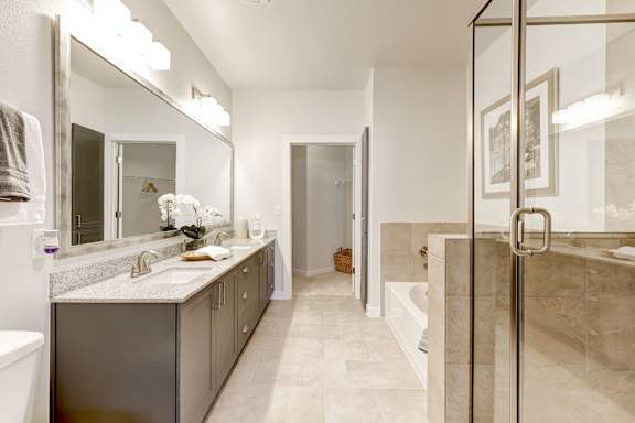 A bathroom with a walk-in shower and a large mirror.