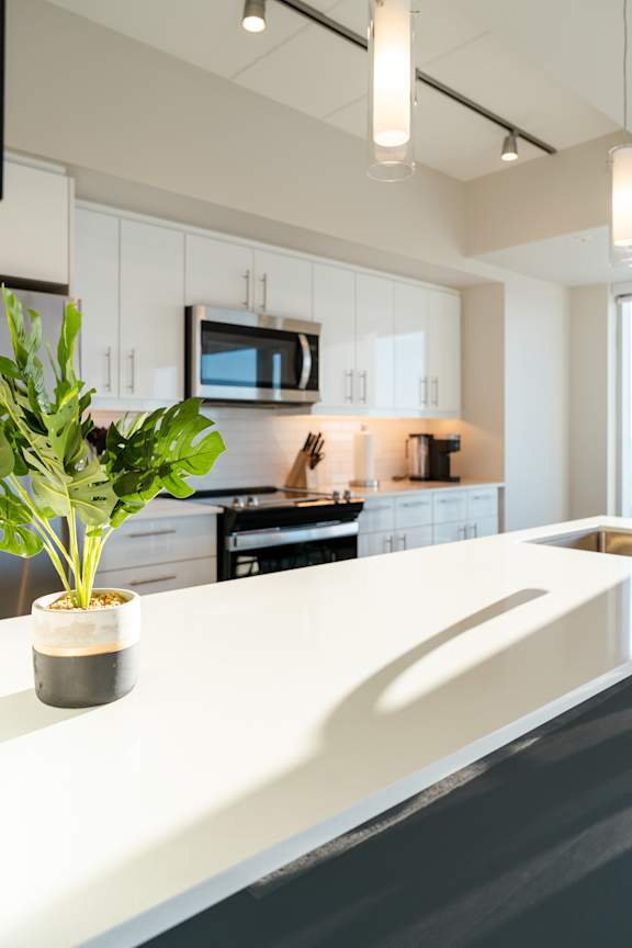 A kitchen with a white counter top and a potted plant on it.