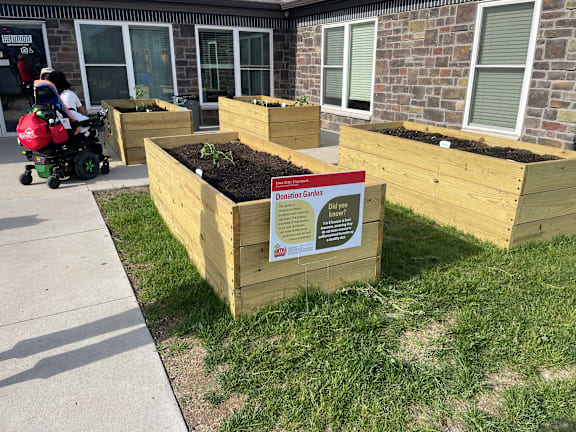 A sign in a box garden reads "Donation Garden".