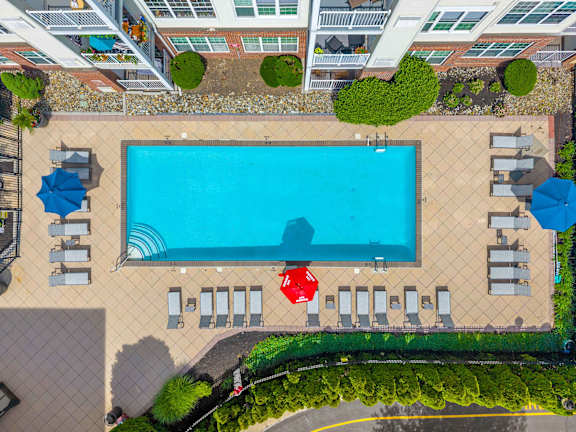 A large swimming pool surrounded by sun loungers and umbrellas.