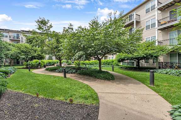 A tree-lined walkway in a grassy area leads to apartment buildings.