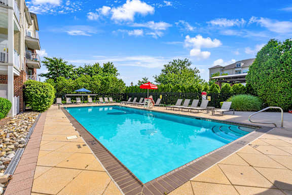 A swimming pool surrounded by a stone border and lounge chairs.