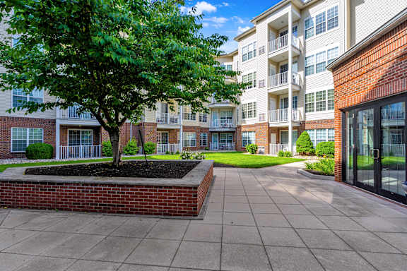 A tree in a planter is the only thing separating a courtyard from apartment buildings.