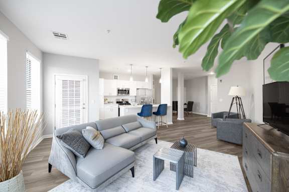 A living room with a grey sofa and a white rug.