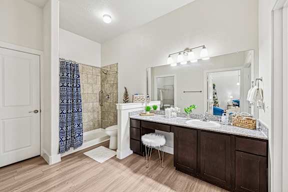 Bright Bathroom at The Laurel at Vintage Park 55+ Apartments, Tomball, 77377