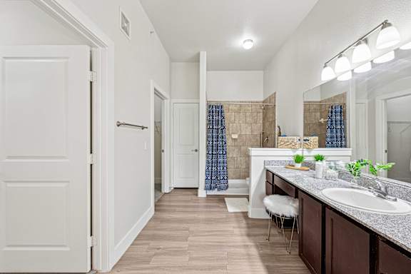 Bathroom Interior at The Laurel at Vintage Park 55+ Apartments, Texas