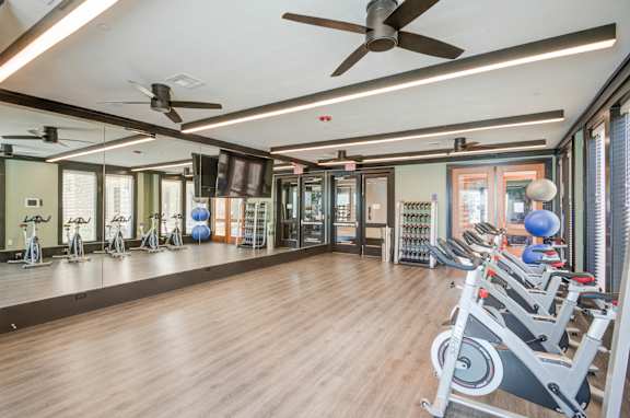 A gym with a row of exercise bikes and a row of treadmills.