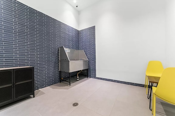 Pet grooming station with tub and yellow seating at 1134 Fulton Street Apartments, Brooklyn, New York