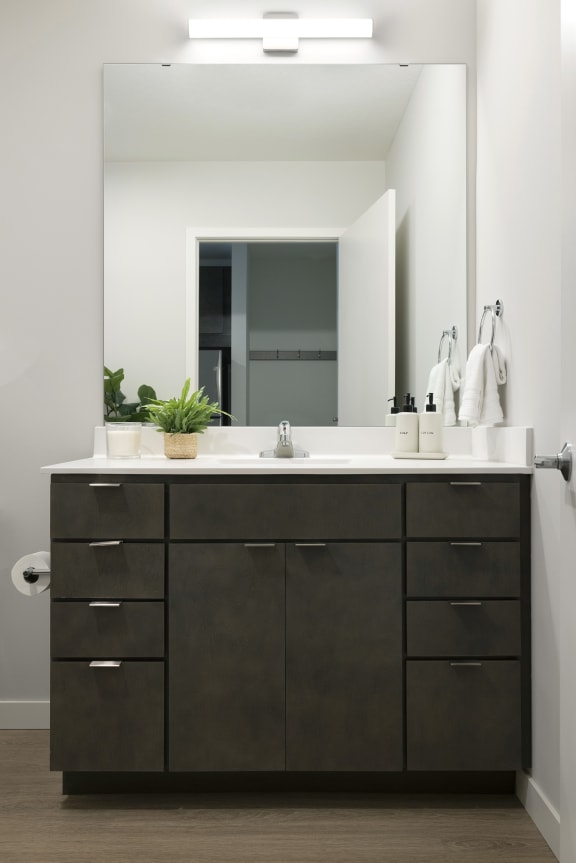 a bathroom with a sink and a mirror