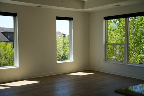 A room with three windows letting in sunlight.