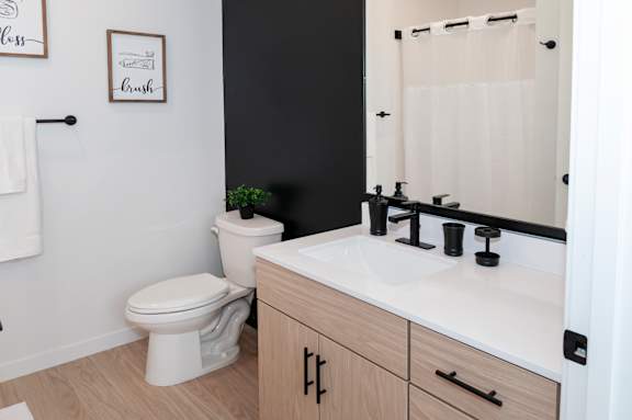 A white toilet sits next to a sink in a bathroom.