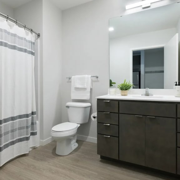 A white toilet sits next to a sink in a bathroom.