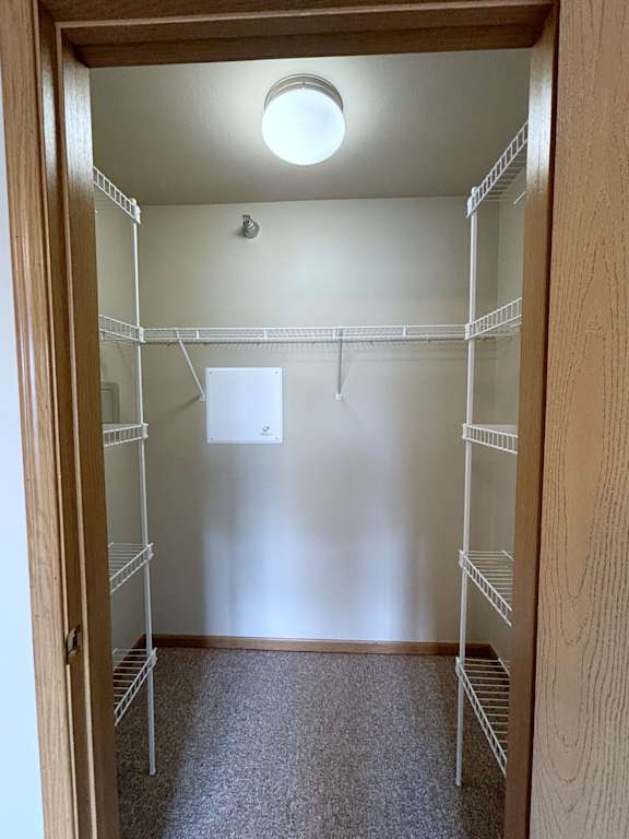 A walk-in closet with shelves and a light on the ceiling.