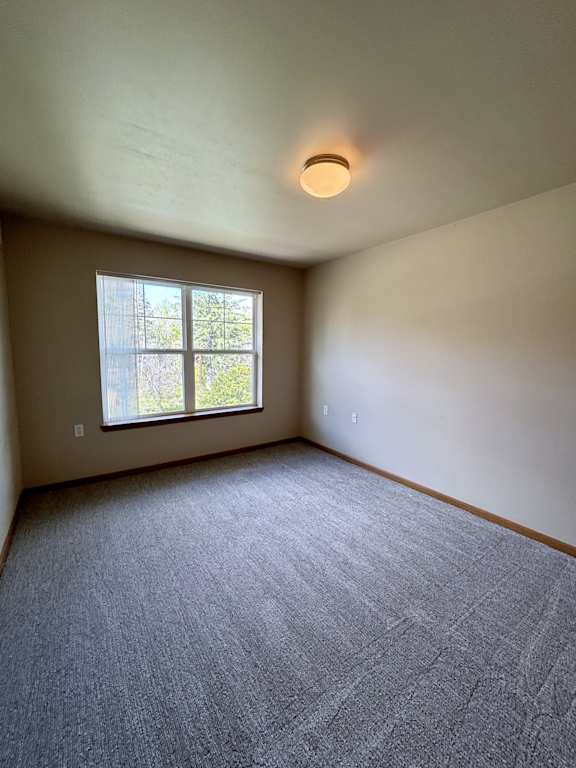 A room with a carpeted floor and a window letting in natural light.